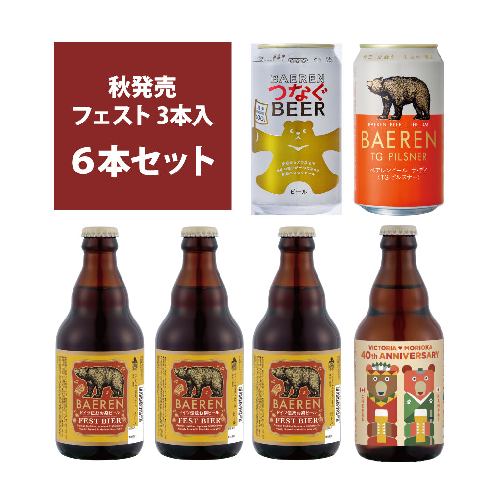 9月17日以降出荷 フェストビール入り 6本セット