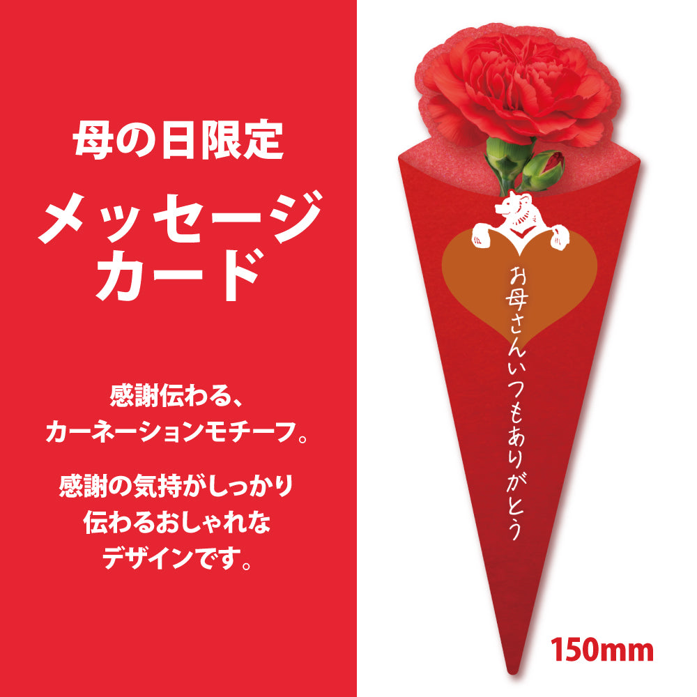 母の日 OurHour ワイン＆シードル 6本セット