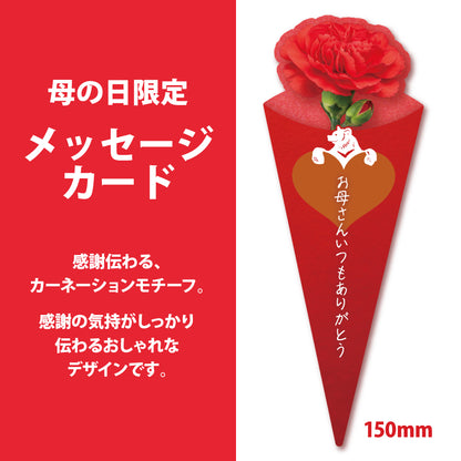 母の日 OurHour ワイン＆シードル 6本セット