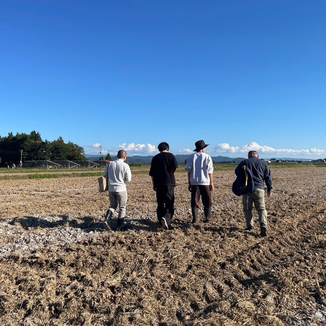 10月15日以降出荷 つなぐビール フレッシュホップ2026 350ml缶