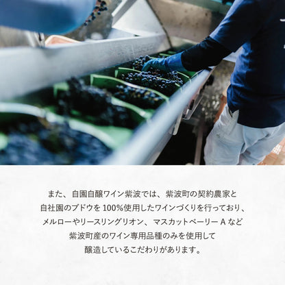 Our Hour ロゼスパークリングワイン 330ml瓶