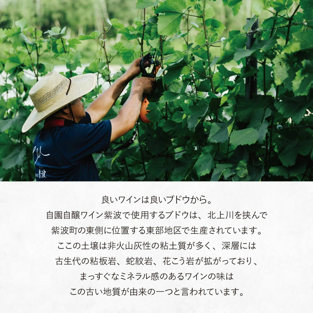 Our Hour ロゼスパークリングワイン 330ml瓶